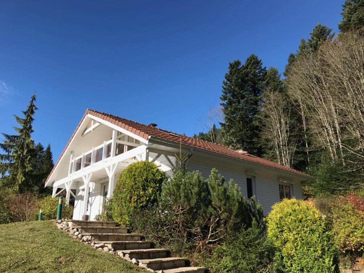 Le Chalet Blanc - Jacuzzi / Piscine / Sauna Gerardmer Exterior photo